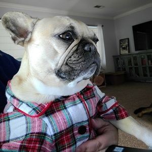 Meet your Posher, Alanna